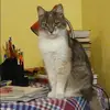 Отзыв от Ираида Шубина
